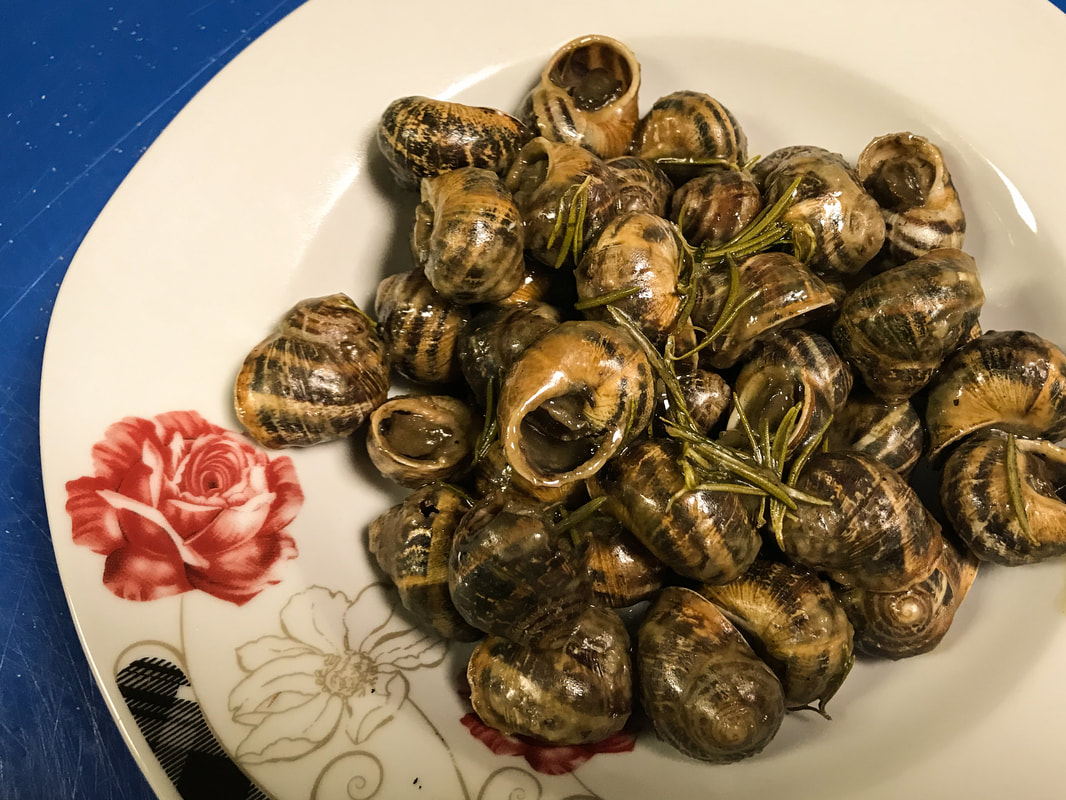 Snails of Chania. Crete, Greece / Holy Snail Day / Karen McCann / EnjoyLivingAbroad.com