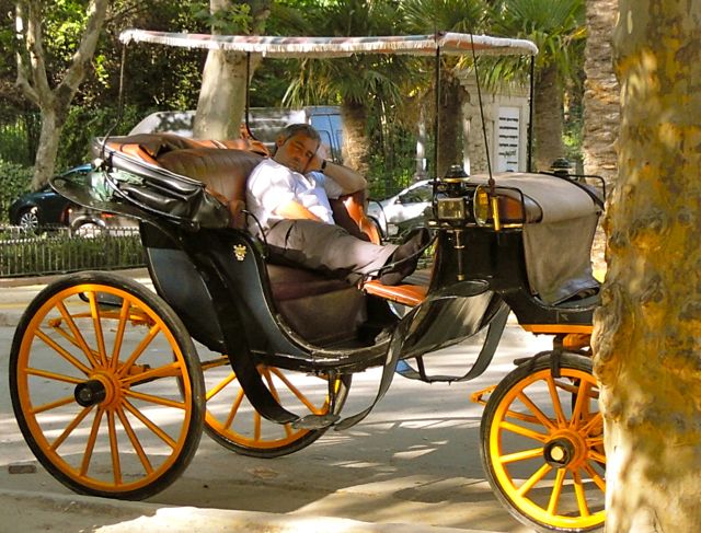 Seville, Spain, living abroad, retire abroad, horse-drawn carriage, cabby sleeping 