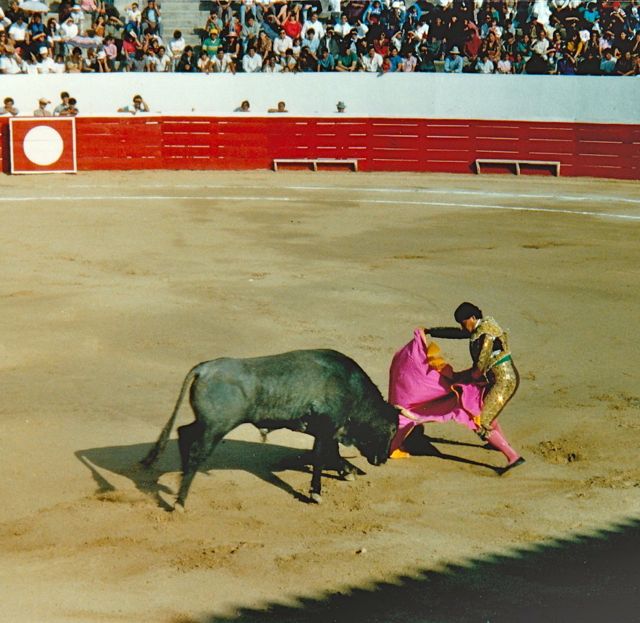 Seville, Spain, Book, Bullfight Mexico