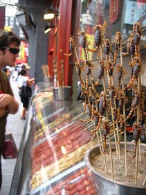 Fried scorpions, unusual road food in Beijing, China