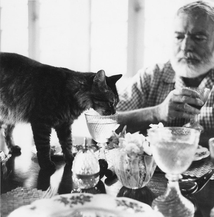 Hemingway and his cat at Christmas / Cancelling Christmas, Hanukkah, Kwanzaa, Other Holidays / Karen McCann / EnjoyLivingAbroad.com