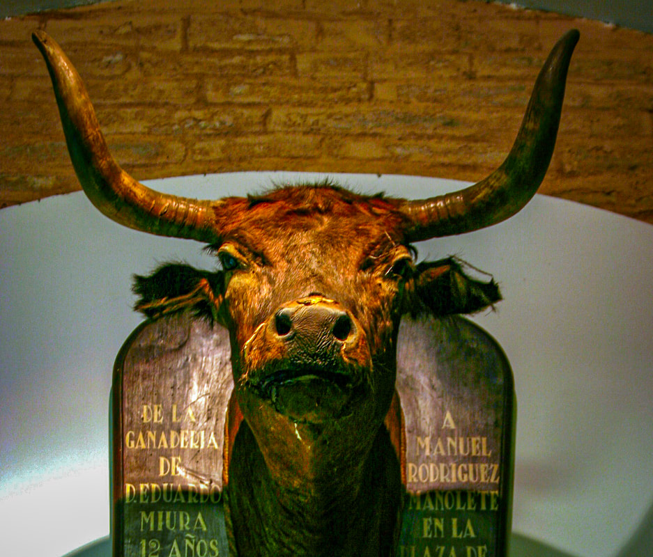 Most Famous Bull in Seville / Seville Legends Tour / Karen McCann / EnjoyLivingAbroad.com