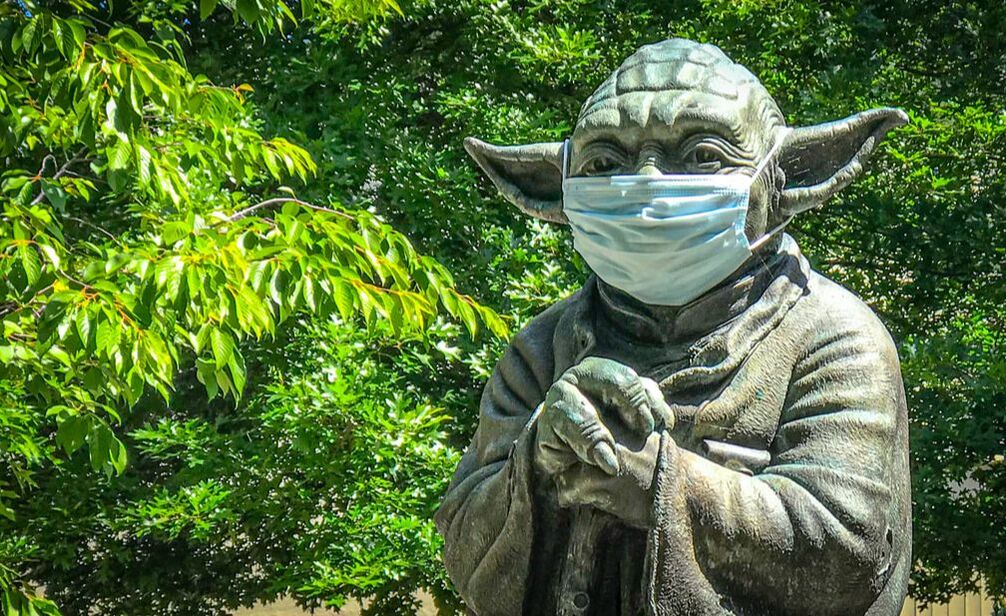 Yoda in Face Mask / Trust in the time of coronavirus / Karen McCann / EnjoyLivingAbroad.com