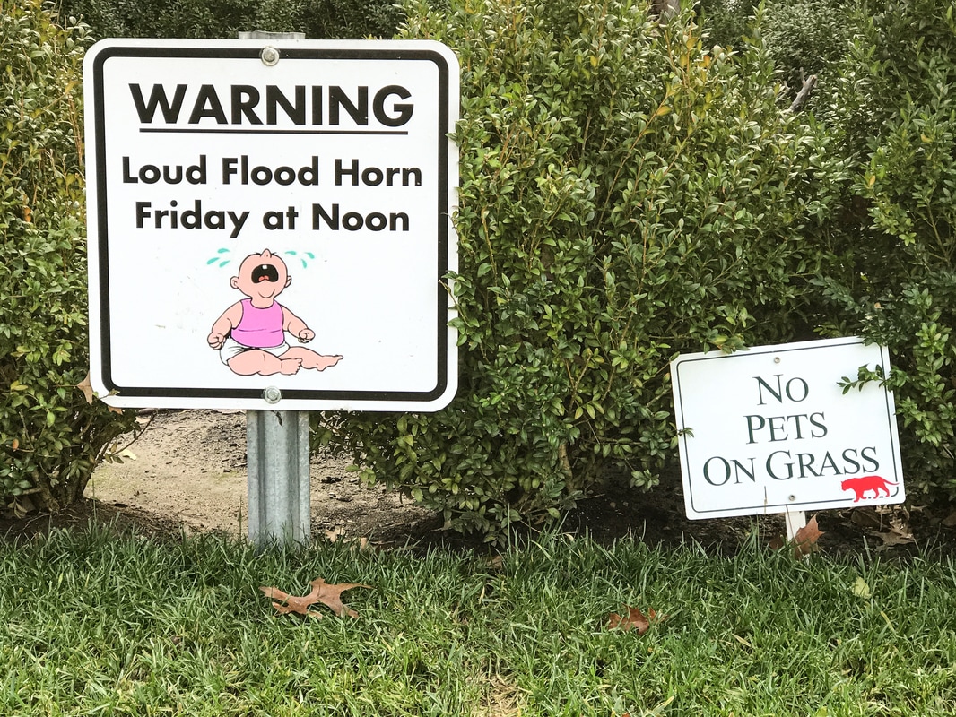 San Anselmo Flood 2017 / Flood Horn Warning Sign / Karen McCan / enjoylivingabroad.com 