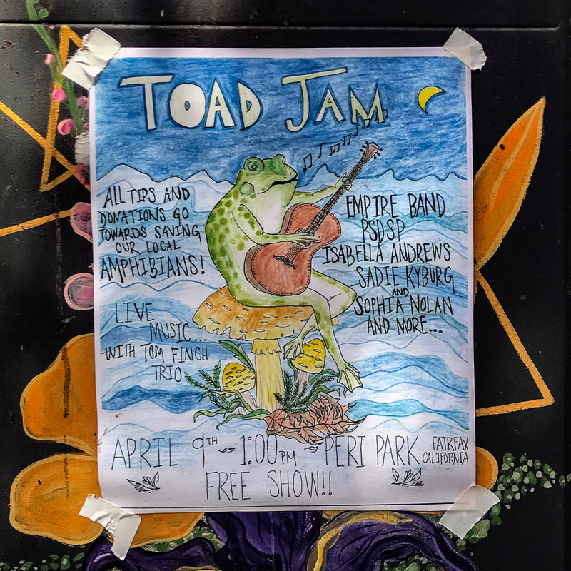 Toad Jam means hope / Karen McCann / EnjoyLivingAbroad.com