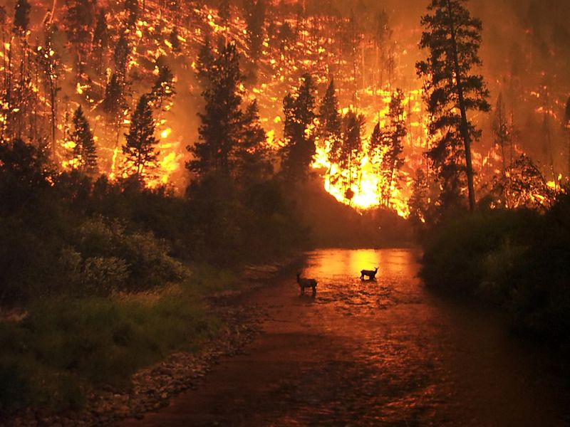 California Wildfires / Stuff I No Longer Worry About Thanks to COVID-19 / coronavirus / Karen McCann / EnjoyLivingAbroad.com